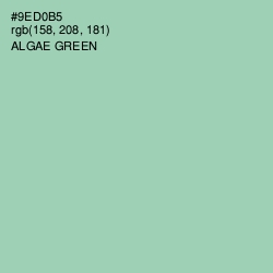 #9ED0B5 - Algae Green Color Image